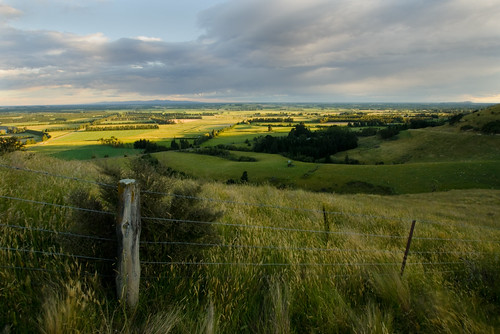 green grass fence evening hills