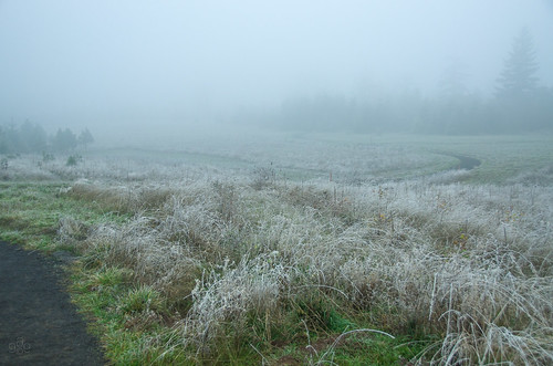 winter fog oregon frost unitedstates beaverton trail coopermountainnaturepark windingtrail uscopyrightregistered2013