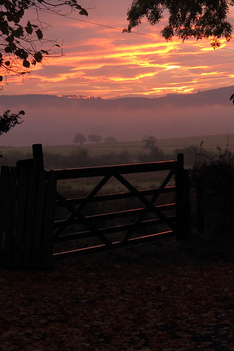morning autumn red sky orange mist leaves sunrise landscape scotland gate colours view scottish farmland lochwinnoch
