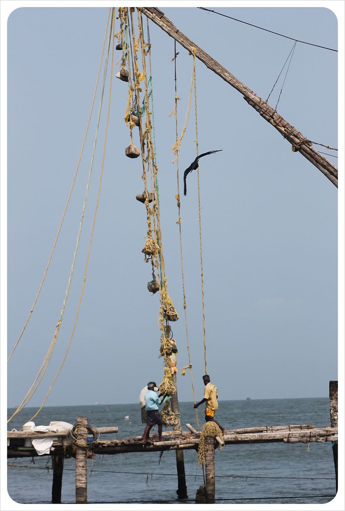 fort kochin chinese fishing net
