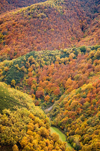 autumn mountains colour colors forest de spain asturias bosque otoño cordillera montañas cangas narcea cantabrica muniellos moal
