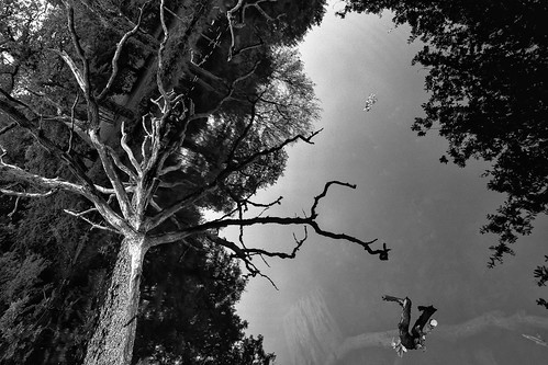 white black reflection water river french landscape blackwhite day noiretblanc paysage