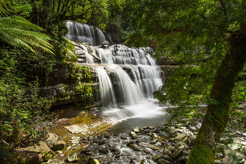 trees water canon river waterfall rocks long exposure falls liffey tasmania 5d ferns tas cascade 1740 nd400 5dm3