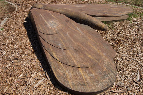 Bogong Moth Sculpture - Museum of Australia