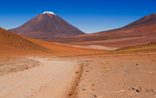 road animals landscape geotagged volcano bolivia altiplano vicuña licancabur southwestcircuit vicugnavicugna