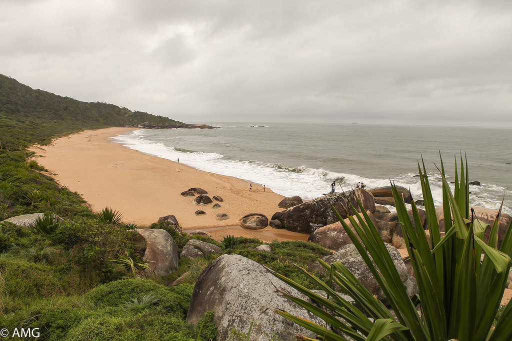 Panoramio - Photo of Praia do Pinho