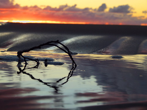 sunset sea reflection water sand branch