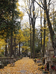 Cmentarz-Rakowicki-Kraków