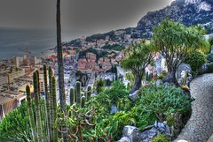 Jardin Exotice de Monaco