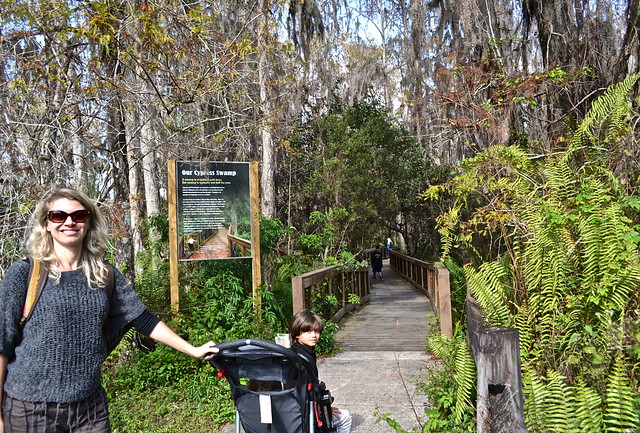 trail at loxahatchee state park