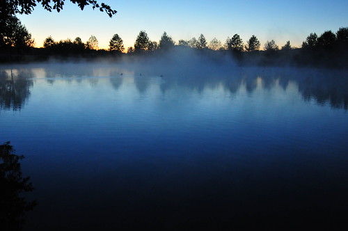 lake fog sunrise lago day peace darkness alba blu ducks pace nebbia giardino buio laghetto paperette mappano