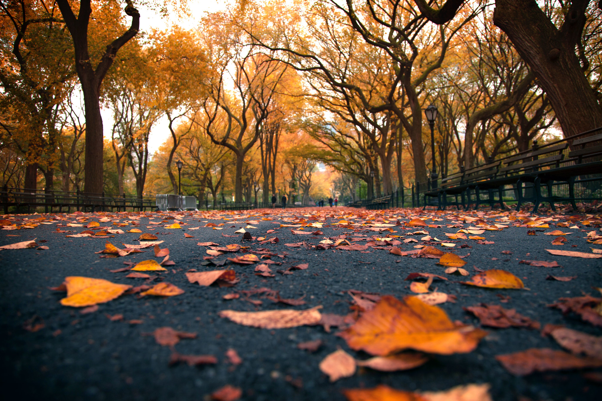 'The Yellow Brick Road', United States, New York, New York City ...