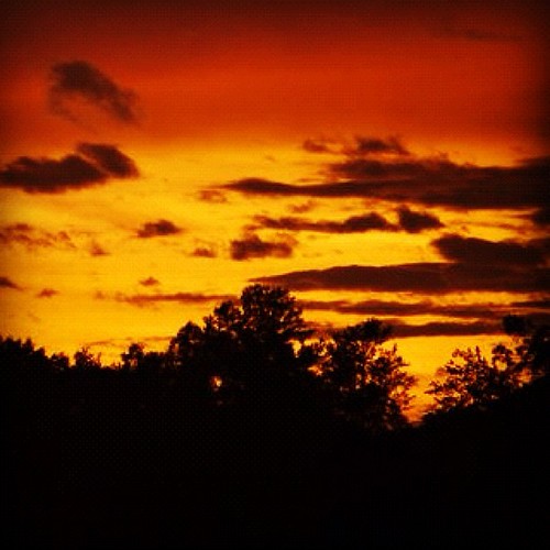 trees light sunset summer sky clouds rural michigan aug eav 2012 mattslens statigram eavig instacanvas uploaded:by=flickstagram instagram:photo=25388510735689854639420