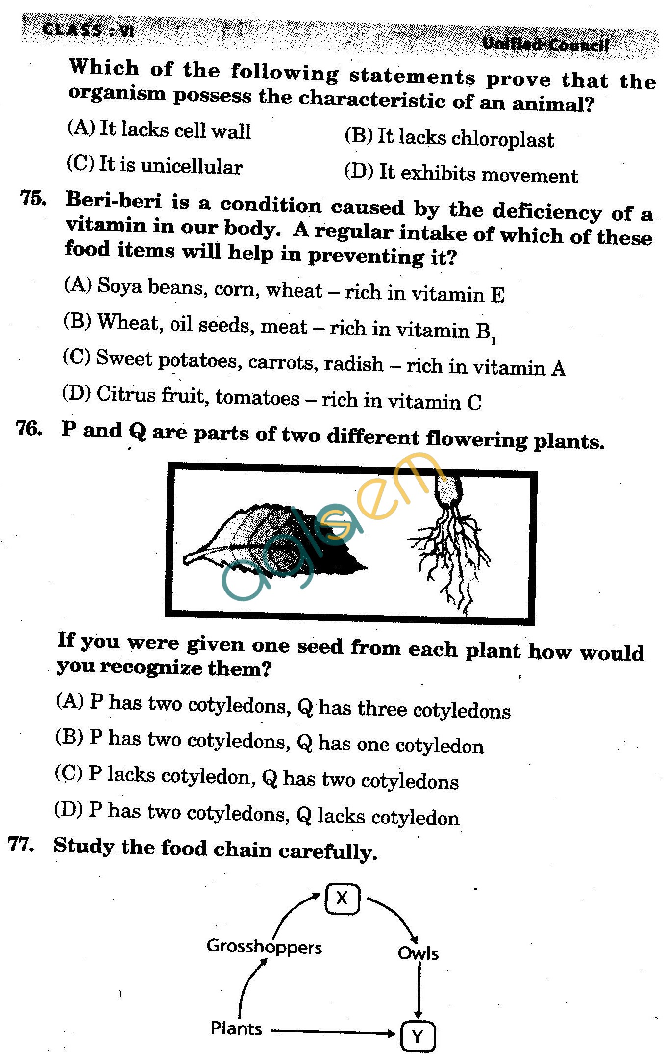 NSTSE 2010: Class VI Question Paper with Answers - Biology
