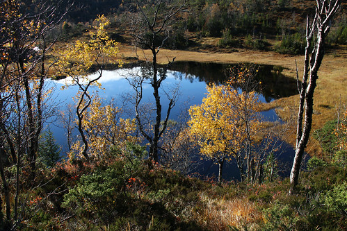 blue lake reflection nature norway reflections landscape photo foto explore 2012 vatn tjørn fjordane dese sognogfjordane sunnfjord october11 smallforestlake desefoto fjalerkommune todaysexplore ivatjørna