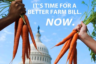 Farm-Bill-Petition-Opening-Graphic-Alert-Image-Webfarm bill