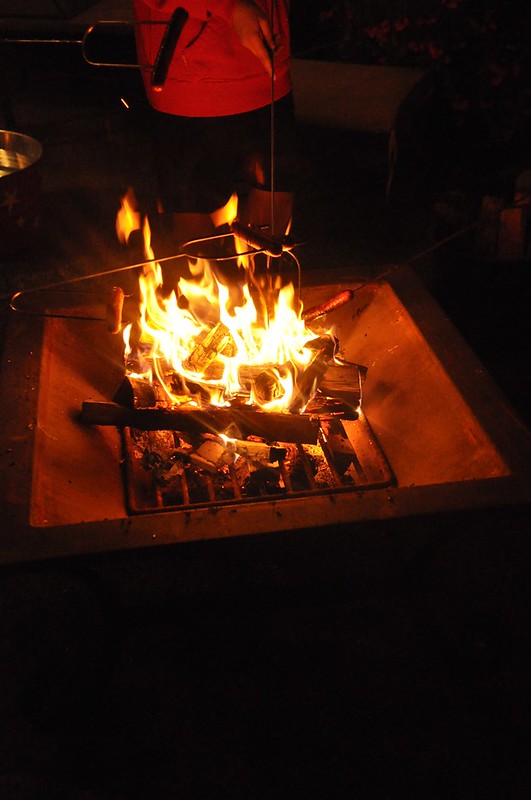 roasting hotdogs in fire