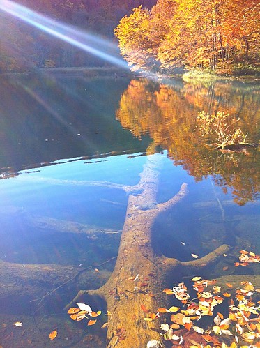 autumn lake reflection digital utata aomori sunbeam 2012 青森 autumncolor iphone towada iphone4 菅沼 蔦七沼 laketsuta