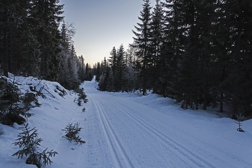 trip winter ski cold beautiful nice quiet skiing cross country viking mistberget minneåsen