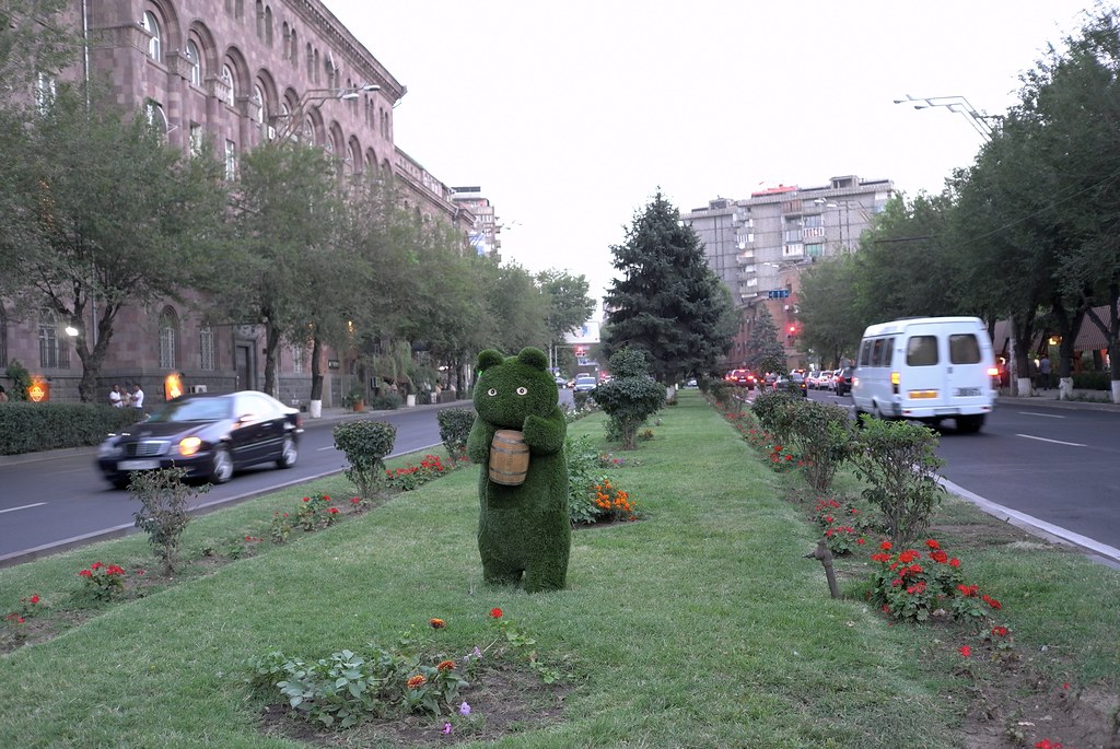 Armenia - orso nel traffico a Yerevan