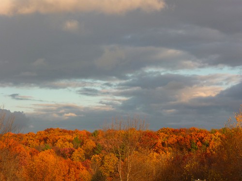 autumn trees sky west fall colors clouds woods october belmont michigan