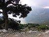 Kreta 2008 044