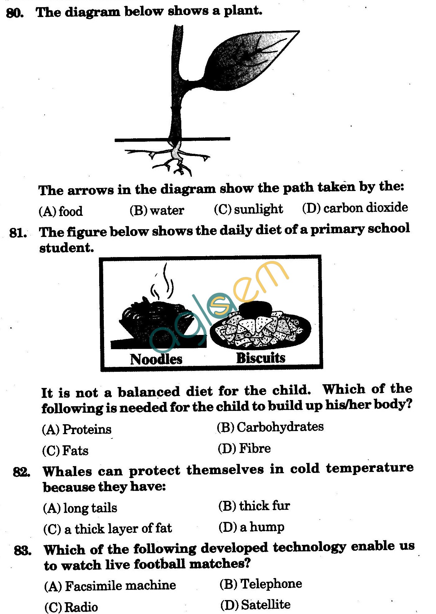 NSTSE 2010: Class IV Question Paper with Answers - Science