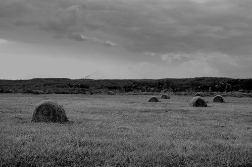 ohio field blackwhite country hay hayfield plainfieldohio