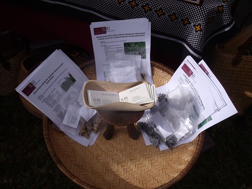 ILRI forage seed display at KARI event