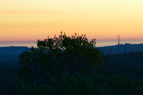 sunset art landscape sagehillpreserve