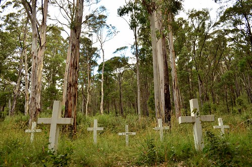 cemetery grave forest bush nikon cross headstone crosses headstones australia victoria graves vic sunnyside gippsland glenwills d5100 nikond5100 phunnyfotos glenwillscemetery