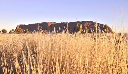 red wild cold grass sunrise landscape nt freezing australia bluesky outback uluru northernterritory ayersrock redcentre uluṟukatatjuṯanationalpark biggestsinglerock
