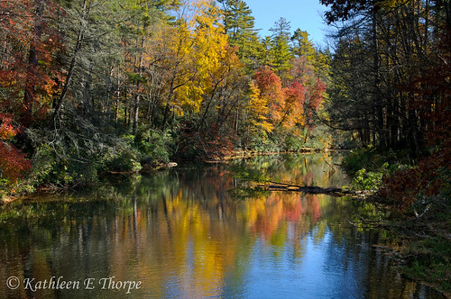 autumn reflection fall water leaves creek northcarolina autumncolors blueridgeparkway linvillefalls coloredleaves linvillecreek