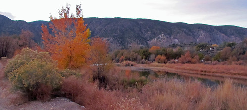 new autumn newmexico fall rio pilar river geotagged mexico grande willow rivers cottonwood nm chamisa floyd muaddib willows riogrande cottonwoods pilarnm pilarnewmexico floydmuaddib