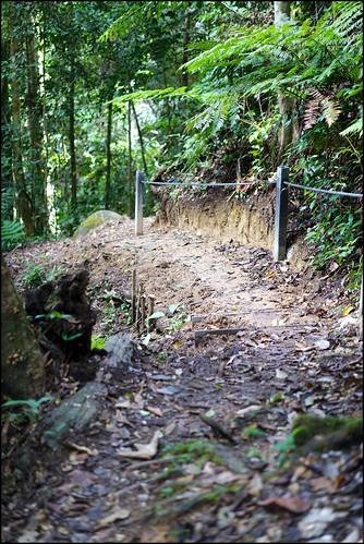 bishoptrail hiking bukitfraser frasershill frasershilltripseptember2016 vacation family harisrahmancom harisabdulrahman fotobyhariscom sony alpha7rmarkii ilce7rm2 fe55mmf18zasonnart outdoor pahang malaysia