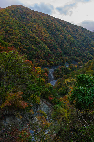 autumn trees red sky orange green japan forest iwate 紅葉 2012 kamaishi iwateprefecture d700 afsnikkor2470mmf28ged