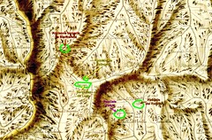 Extrait du Plan Terrier du secteur des bergeries de Luviu et de ses alentours