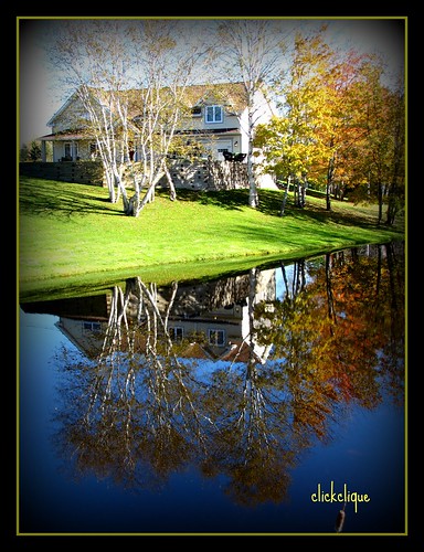 trees house fall water colors reflections lawn