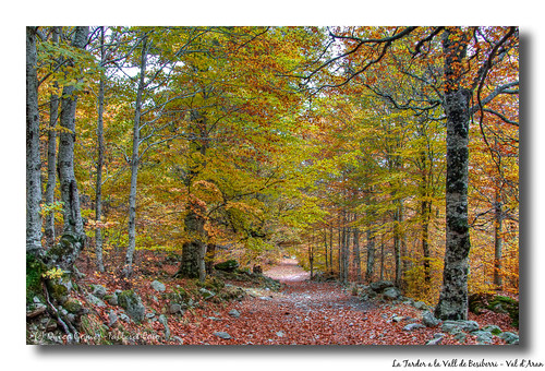 fall canon eos autum natura catalonia otoño catalunya hdr cataluña aigüestortes tardor valldaran talleretfoto quicog