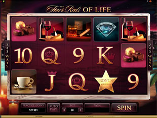 The Finer Reels of Life Slot Machine