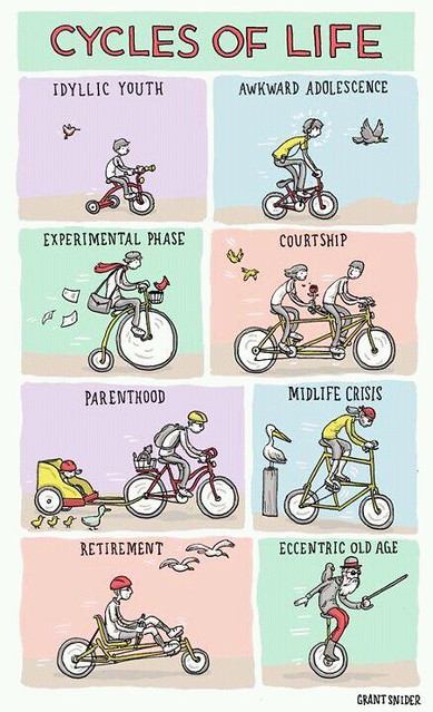 cycles of life