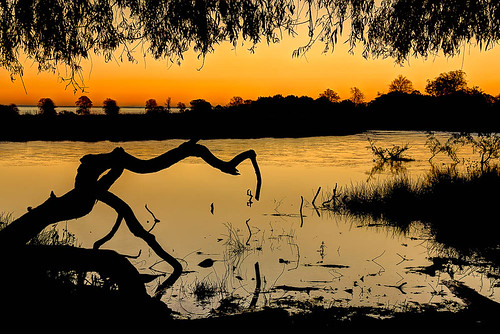 sunrise denmark twilight hdr dyrehaven lyngby efterår flickraward capitalregionofdenmark