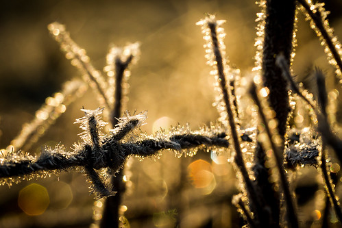 backlight landscape frost canoneos7d