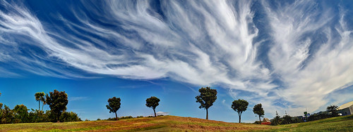newzealand sky cloud wellington petone hikoikoi
