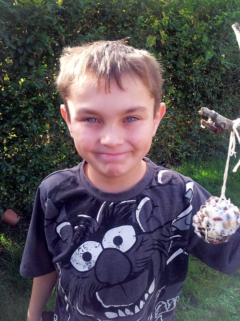 , Hanging bird cake feeders and pinecone feeders #NaBloPoMo Day 10