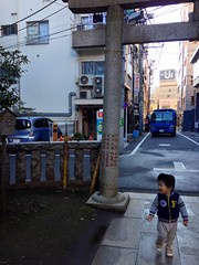 朝散歩 (2012/11/10)