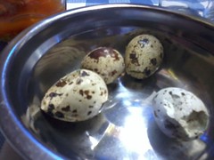 Quails eggs at Monte Nairucu