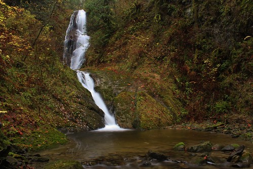 autumn nature water beauty leaves creek outdoors waterfall washington scenery hiking acme whatcom vanzandt