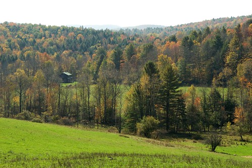 autumn trees usa mountains fall america forest woods vermont newengland pasture american woodstock sugarbushfarm