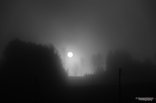 trees bw ski norway fog lens landscape nikon no akershus silhoutte locations 1685mm d7000
